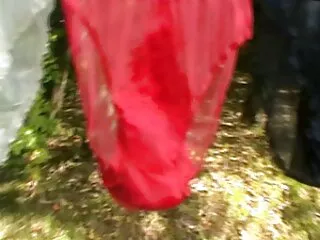 Կլաուդիա Անտոնելլի