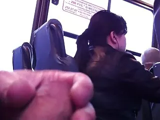 Էլեն վան դեր Կուգ - Սվինգերս