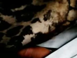 Gang Hook-Up հղիի հետ